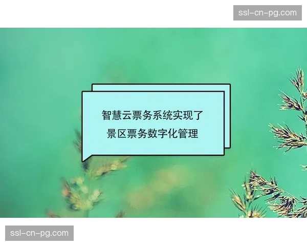 数字化门票权限在本季度实现链上化 实现了内容观看与权益验证的统一