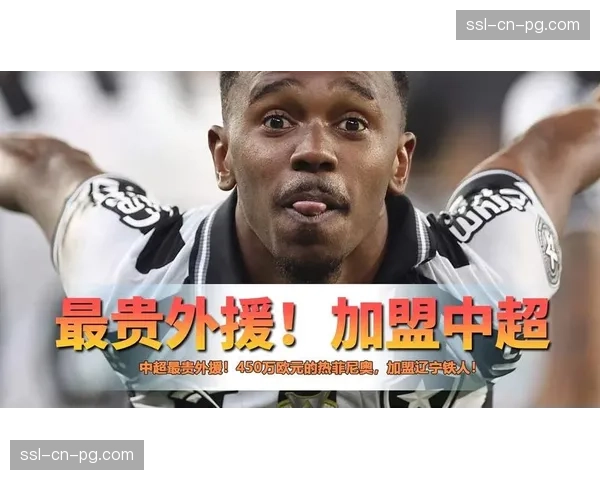 升班马投入分化：辽宁铁人450万欧元签热菲尼奥成标王，重庆铜梁龙走性价比路线